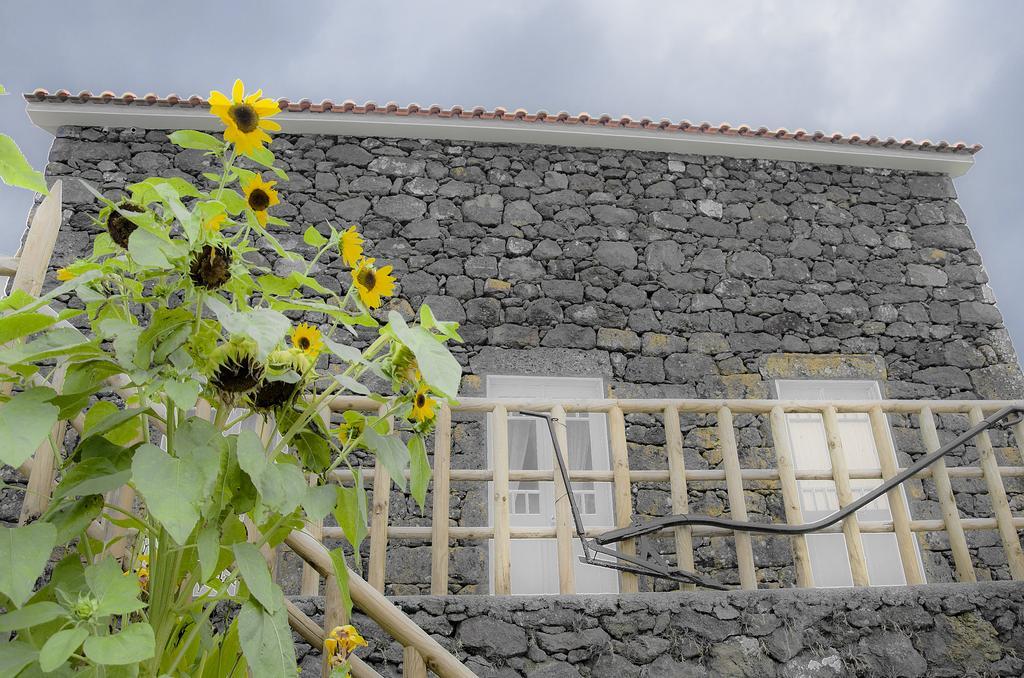 Holiday home Stone Dreams - Pedra Da Atafona *