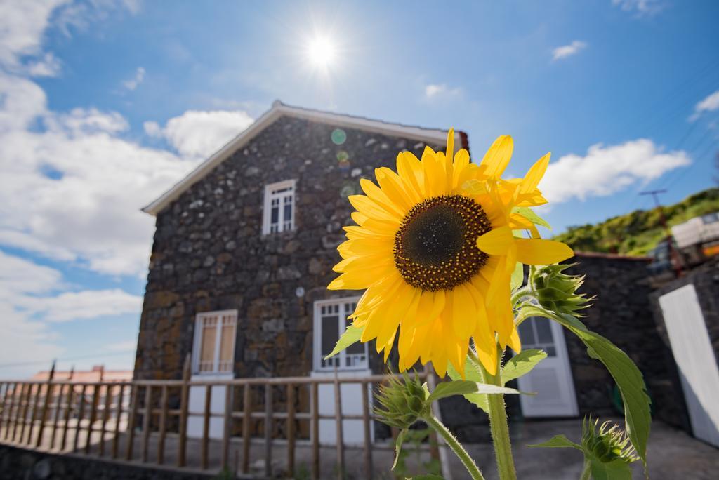 Stone Dreams - Pedra Da Atafona Holiday home